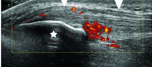 Screen shot 2012-12-03 at 12.58.55 PM