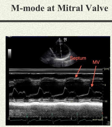 Screen shot 2012-12-14 at 10.49.04 AM