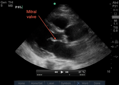 Screen shot 2012-12-14 at 10.53.12 AM