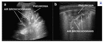 Screen shot 2012-12-17 at 8.26.05 PM
