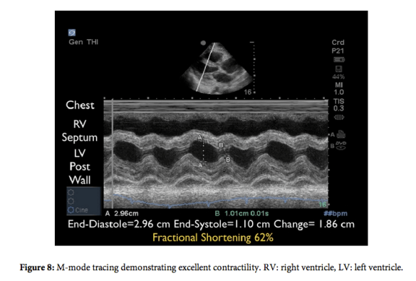 Screen shot 2012-12-17 at 8.30.18 PM