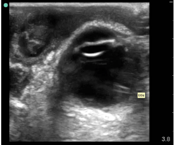 Screen shot 2013-01-07 at 1.57.18 PM