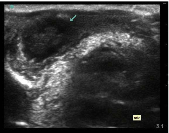 Screen shot 2013-01-07 at 1.57.22 PM