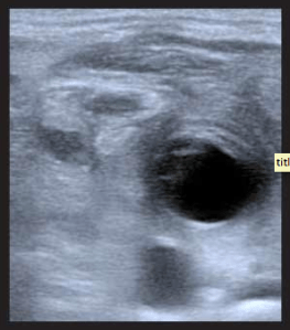 Screen Shot 2013-04-19 at 1.18.49 PM