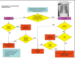 Screen Shot 2013-04-30 at 5.32.49 PM