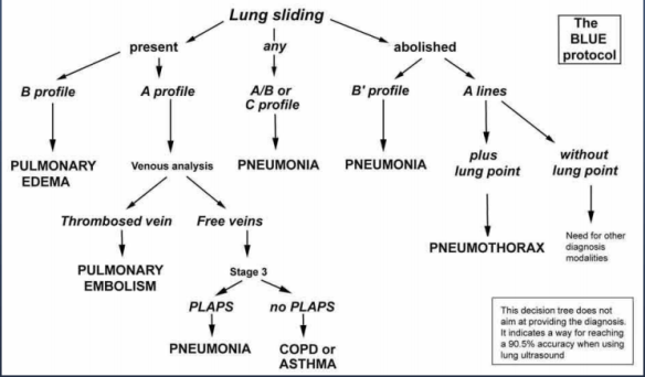 Thoracic US and the BLUE protocol