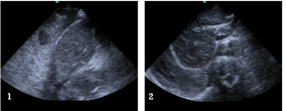 Screen Shot 2013-08-27 at 6.26.16 PM