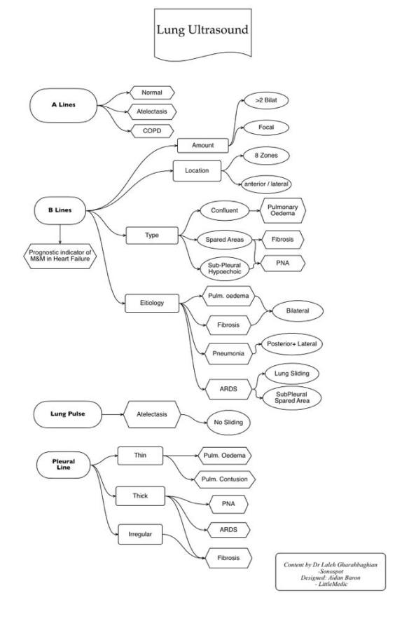 Lung US flow chart